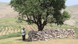 Ziyafet veremeyen köylüyü 'bela gelir' korkusu sardı