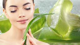 Aloe veranın cilde faydaları
