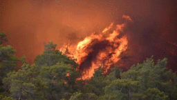 Uzman isim yangınla savaşmanın yollarını tek tek açıkladı!