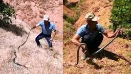 3 metrelik yılanı önce sevdi, sonra doğaya bıraktı