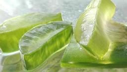 Aloe vera cilt bakımı nasıl yapılır?