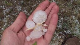 Ceviz büyüklüğündeki dolu otomobillere ve ağaçlara zarar verdi