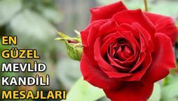 MEVLİD KANDİLİ 2022 MESAJLARI VE SÖZLERİ!  (Whatsapp, Instagram ve Facebook için) Resimli, dualı, kısa ve uzun Mevlid Kandili mesajları ve sözleri! 