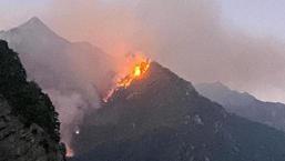 Osmaniye’de orman yangını! Ekipler seferber oldu