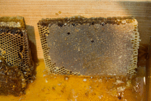 Evinizde mutlaka bulundurun: Bronşitin şifası onda!