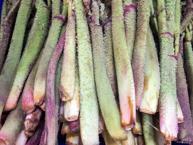 Bir tek ölüme çaresi yok! Doğu Anadolu'nun en sevilen sebzesi...A, B1, B2, C, E ve K vitaminleri yönünden en zengin besin