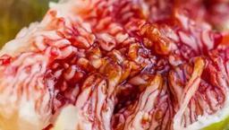 Günde 1 adete yiyip üzerine su için! Şıpır şıpır kilo verdiriyor