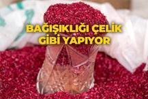 Canan Karatay önerdi: Bağışıklık sistemini çelik gibi yapıyor, faydalarını duyan bardak bardak içiyor