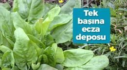 Dünyanın en güçlü mikrop kırıcısı! Streç filme sarıp bekletince mucize yaratıyor