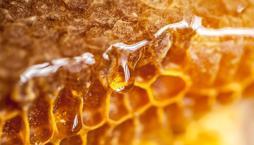 Gerçek bal nasıl anlaşılır? Saf balın ayırt edilme yöntemleri