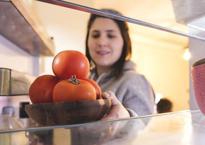 Domateslerin bozulmasını önleyen yöntem! Birkaç saniyede marketten yeni alınmış gibi oluyor