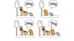 Dahi IQ Testi: 11 saniyede tüm hayvanların ağırlığını bulun!