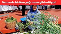 Ege'den tüm ülkeye yayılıyor: Damarlarda biriken yağı mum gibi eritiyor! Vücuttaki ödemi atıp kolesterolü bitiriyor!