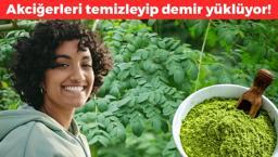 Hindistan'dan tüm dünyaya yayılıyor: Akciğeri anında tertemiz yapıp vücuttaki iltihabın kökünü kazıyor! Demir eksikliğini bitiren de oymuş