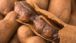 Eskişehir'e giden kapış kapış alıyor! İftar sonrası 5 bardak için kabızlık nedir bilmiyor