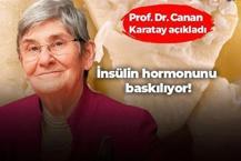 Canan Karatay açıkladı: Yıllarca sağlıksız diye yedirmediler! Kaşık kaşık tüketin, insülin hormonunu baskılayan en önemli besin...