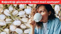 Günde 1 bardak içenin bağışıklığı çelik gibi oluyor! Mideyi de sakinleştirip mışıl mışıl uyutuyor!