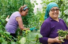 Pazarda kilosu 130 liradan satılıyor! Demir, potasyum, B vitamini zengini: Düğüm düğüm olmuş bağırsakları bir kaşıkta açıyor