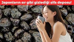 Türkler kıymetini bilmiyor ama Japonların favorisi! Avuç avuç yiyince vücuda demir ve kalsiyum yükleyip kansızlığı önlüyor, bağırsakları motor gibi çalıştırıyor!