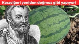 Değerini sadece Hintliler biliyor! Hekimlerin imparatorundan 1000 yıllık reçete: Bin derde deva, karaciğeri yağlardan arındırıp yeniden doğmuş gibi yapıyor!