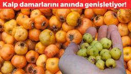 Dağlarda kendiliğinden yetişiyor! Aç karnına avuç avuç yiyince kan damarlarını genişletip kriz riskini sıfırlıyor! Doğanın C vitamini kralı