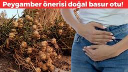 Peygamber Efendimizin hadisinde geçiyor, doğal basur otu! Sabah akşam balla karıştırıp bir kaşık yemek yetiyor, öksürüğü de bıçak gibi kesiyor!