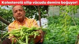 Pazarda kapış kapış satılmaya başlandı! Kilosu 50 TL: Kolesterol seviyelerini anında düşürüp vücudu demire boğuyor!