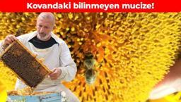 Çin ve Antik Mısır’da ilaç olarak kullanıldı! Kovandaki bilinmeyen mucize: Bünyeyi çelik gibi yapıyor, kalp düşmanı hastalıklardan koruyor, B ve C vitamini deposu