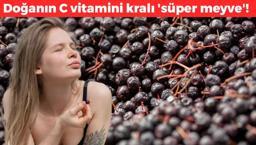 Kanserli eşi için yetiştirdi, iş sahibi oldu! Kilosunu 250 TL'den satıyor: Doğanın C vitamini kralı 'süper meyve'! Karaciğeri de yeniden doğmuş gibi yapıyor!