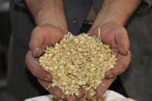 Asırlardır kullanılan yöntem! Basura en doğal çare ondaymış...