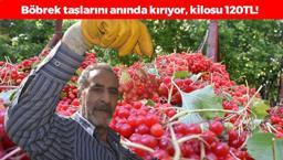 Kayseri'de hasadı başladı! Böbrek taşlarını çatır çatır kıran meyvenin kilosu 200 TL!