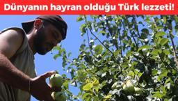 Kavurucu sıcakta hasadı başladı! Kilosu 17 TL: Kolesterolü damardan siliyor, kemikleri beton gibi yapıyor! Folik asit ve C vitamini deposu