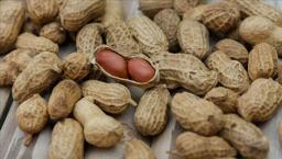 Fıstığa alerjisi olan çocuklar için müjde! Avustralya'da yaşanan gelişme umut ışığı oldu