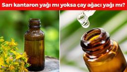 Sarı kantaron yağı mı cilde daha faydalı yoksa çay ağacı yağı mı? İbn-i Sina sırrını yüzlerce yıl önce vermiş...