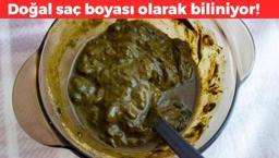 Doğal saç boyası! 1 parça kullanmak yetiyor: İstediğiniz zaman kızıl olabilirsiniz