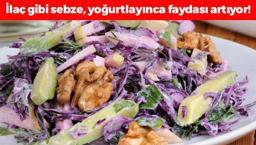 Doktorların sırrı, yoğurtla karıştırıp tüketince faydası 10 kat artıyor! Kolesterolü damardan kazıyor, demir, çinko depolarını fullüyor