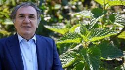 İbrahim Saraçoğlu ısrarla tavsiye ediyor! Karaciğere reset atıp böbrekleri diyalizin pençesinden kurtarıyor, demir ve C vitamini zengini!