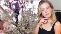 Güzel oyuncu ağaç tepelerinde! Burcu Biricik zeytin topladı