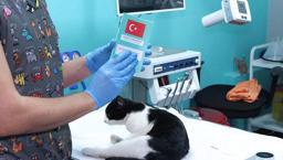 Evcil hayvan sahipleri dikkat! Son gün 31 Aralık