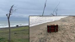 Samsun'da sahile vuran esrarengiz sandık! Üzerinde yer alan Rusça yazılar merak uyandırdı