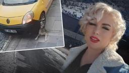 Mardinli Marilyn Monroe'nun isyanı: Köpeği ezene ceza yok, paylaşana 2 yıl hapis!