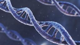 Kaç yıl yaşayacağımız doğuştan mı belli? Şaşırtan genetik gerçek