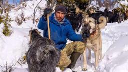 Köpeğini öldürenlerin bulunmasını istiyor... Otopsi yaptırınca korkunç gerçek ortaya çıktı