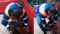 Temizlik işçisi kılığına giren polis suçüstü yaptı! 'Horozlar korkup kendileri ringe attılar'