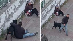 Dehşet anları kamerada! Ağızlıksız rottweiler küçük köpeğe saldırdı