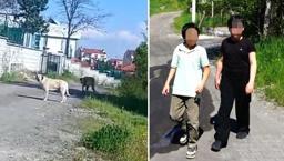 Küçük bedende dev yürek! Köpeklerden kaçarken arkadaşını sırtında taşıdı