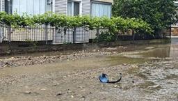 Ordu'da hayat durdu! Sağanak nedeniyle dakikalar içinde sokaklar göle döndü