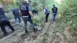 Tarihi mirasa narkotik darbesi! Hevsel Bahçeleri’nde 12 bin kök kenevir ele geçirildi