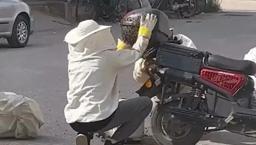 Yol ortasında arı istilası! Motosikleti görenler şaşkına döndü