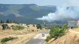 Bursa'da orman yangını! Ekipler sevk edildi